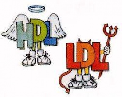Hdl Ldl